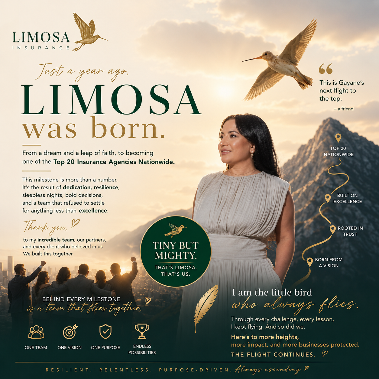 Limosa Insurance Anniversary Flyer